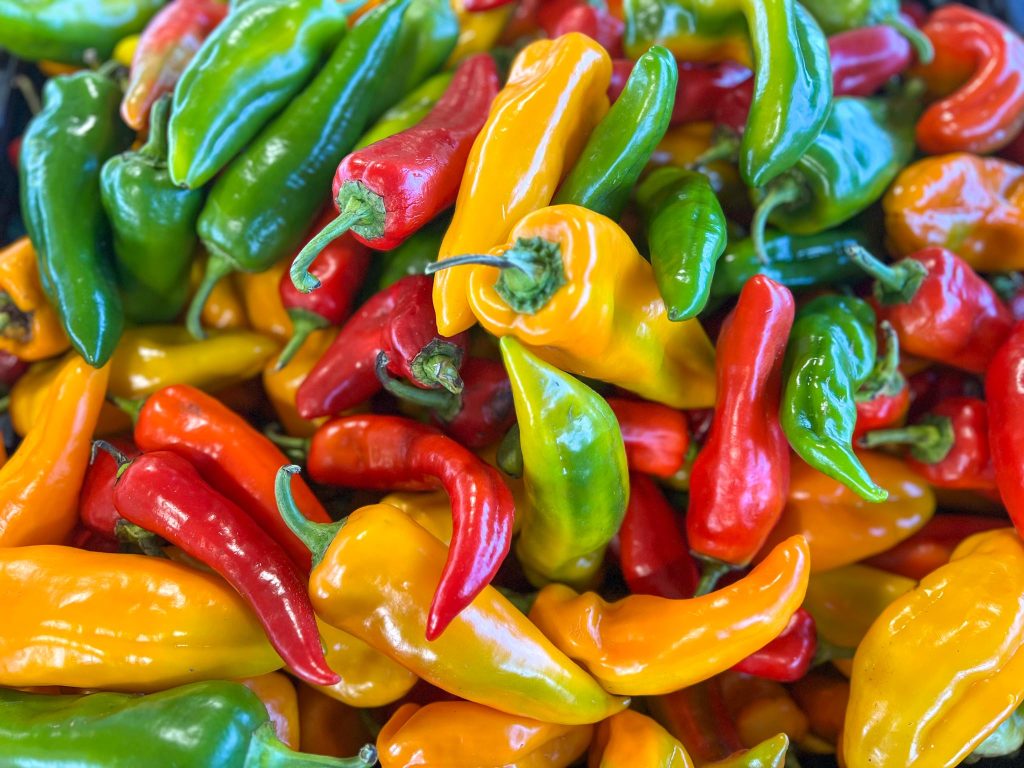 close up shot of a bin of different colored Italian frying peppers